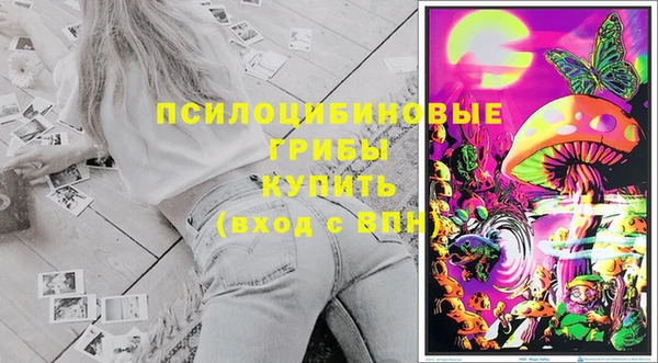 СК Дмитровск