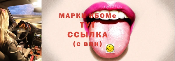 шишки Дмитров