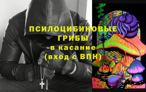шишки Дмитров
