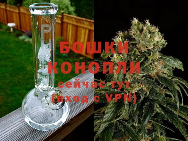 шишки Дмитров