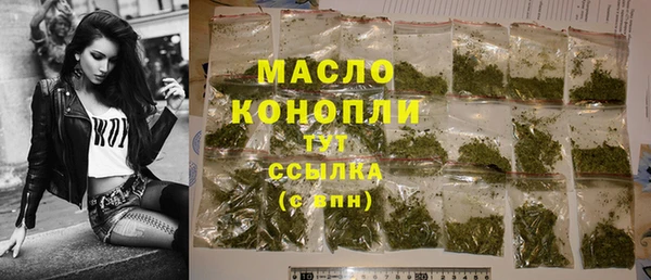 СК Дмитровск