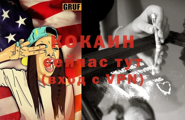 шишки Дмитров