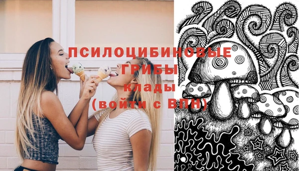 шишки Дмитров
