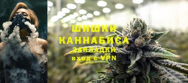 шишки Дмитров